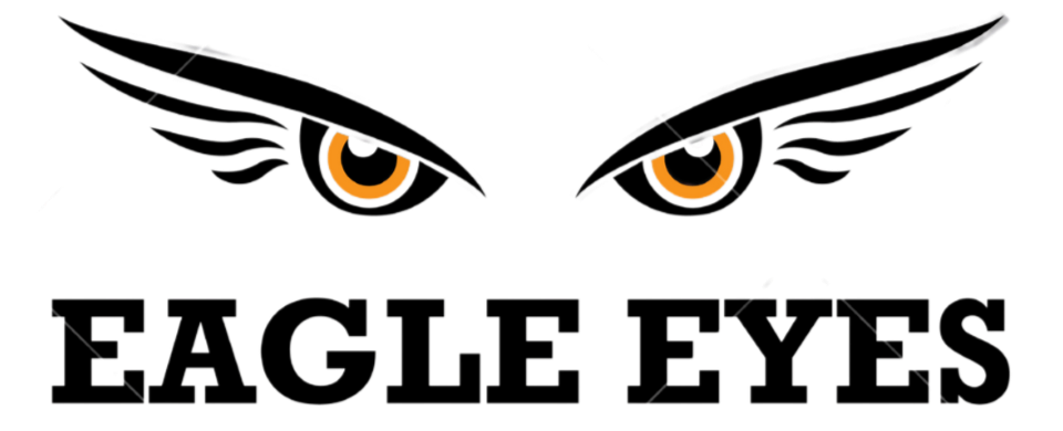 Eagle Eyes Eagle eyes driving school. Automatic Driving Instructor